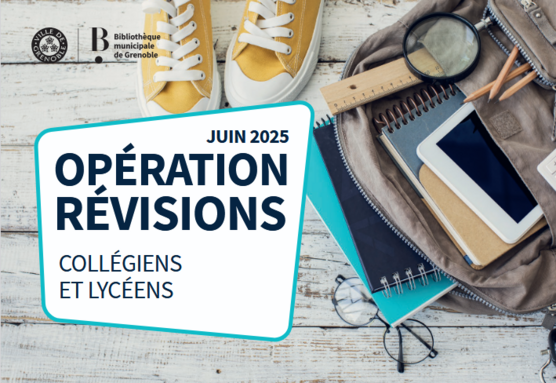 Opération révisions 2025.png